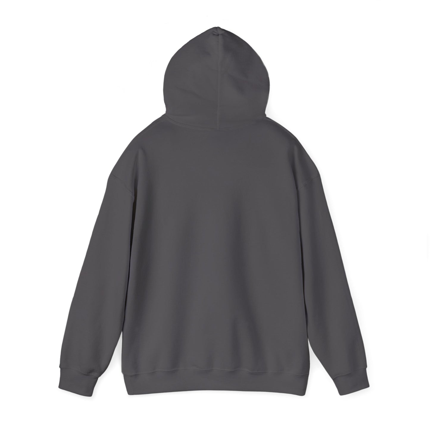 "Grand Prix Of Miami" Unisex Hoodie