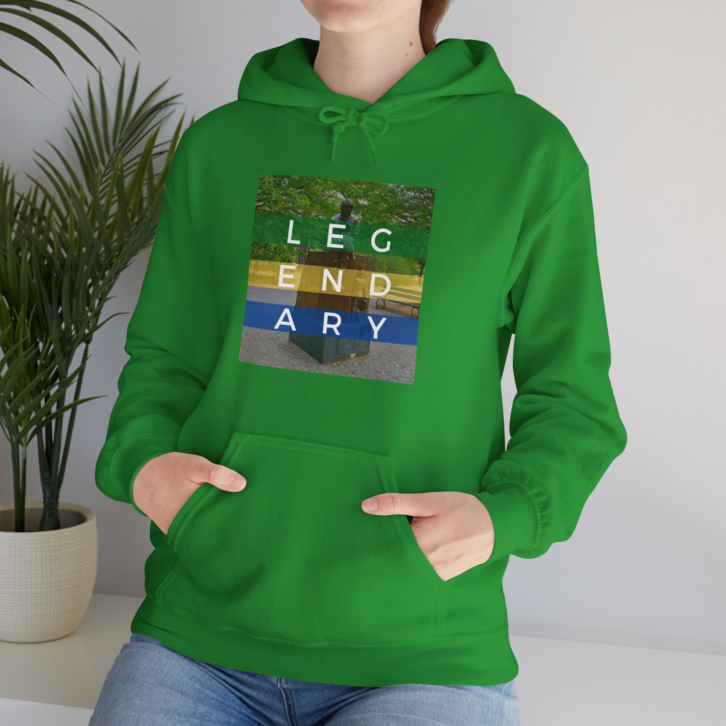 "Senna: Honoring A Legend" Unisex Heavy Blend™ Hooded Sweatshirt