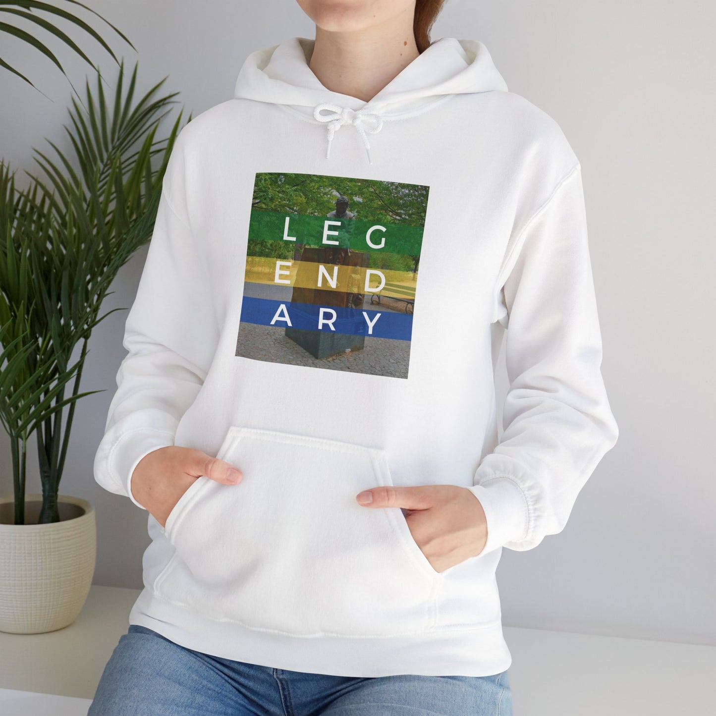 "Senna: Honoring A Legend" Unisex Heavy Blend™ Hooded Sweatshirt