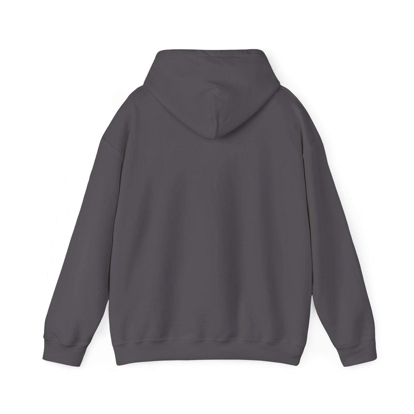 "Grand Prix Of Miami" Unisex Hoodie
