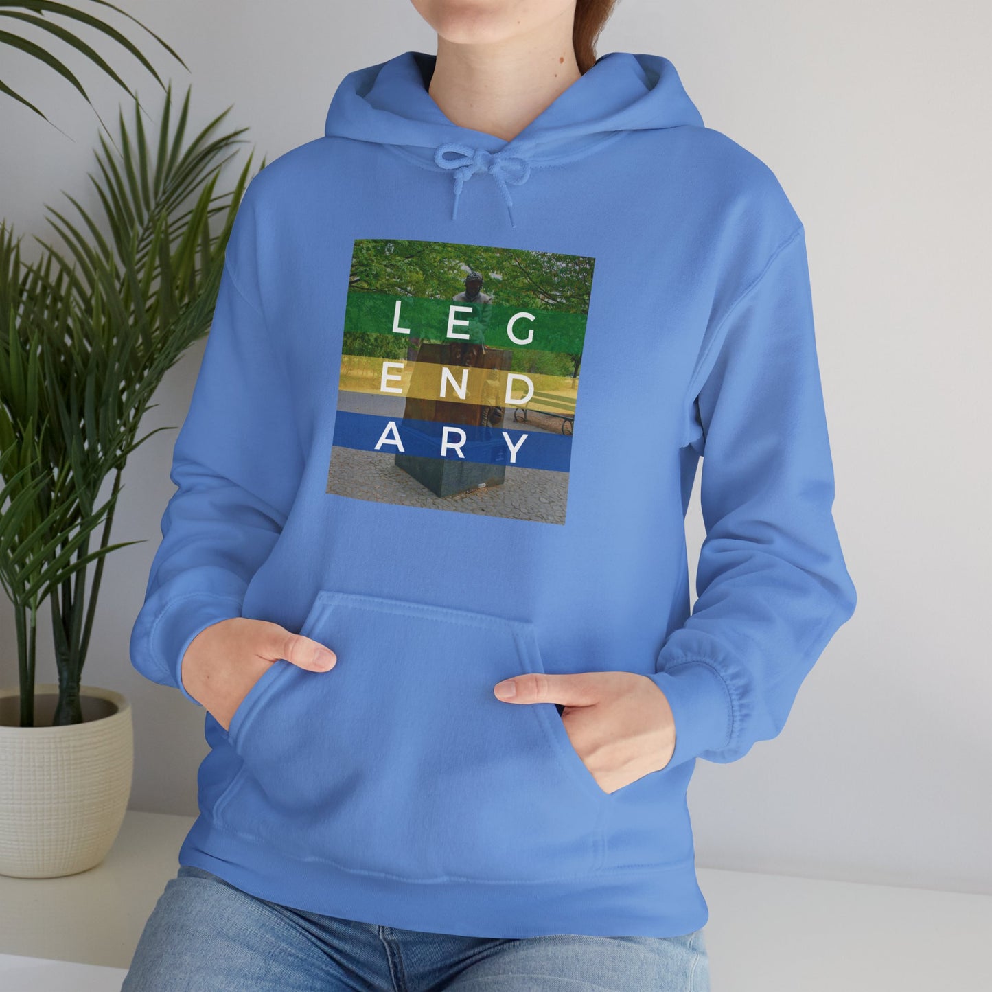 "Senna: Honoring A Legend" Unisex Heavy Blend™ Hooded Sweatshirt